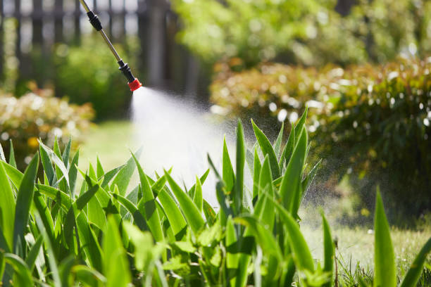24/7 Emergency Mosquito Control experts in South Highpoint, FL