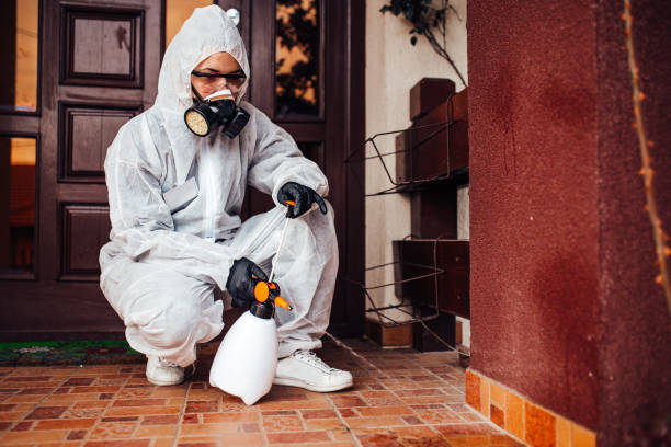 Reliable Mosquito Control contractor in South Highpoint, FL by Show Me Pest Control